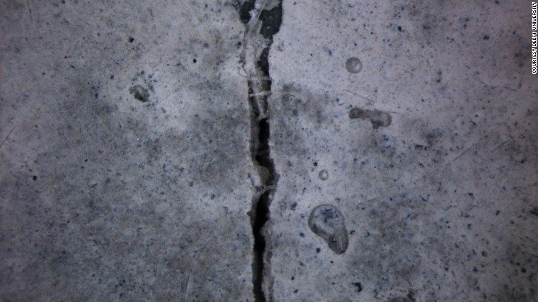 bacteria for concrete cracks1
